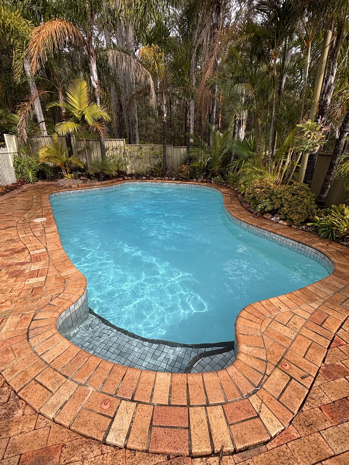 A crystal clear freeform pool with brick paving and palms